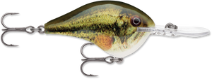 Rapala DT® (Dives-To) Series thumbnail 9