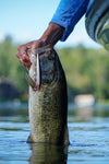 Rapala Original Floating®