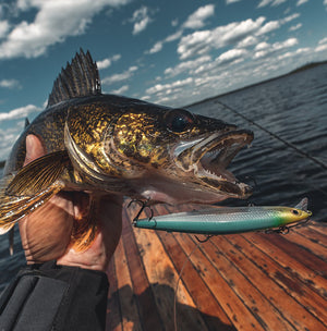 Rapala Shadow Rap® thumbnail 3