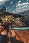 Rapala Shadow Rap®
