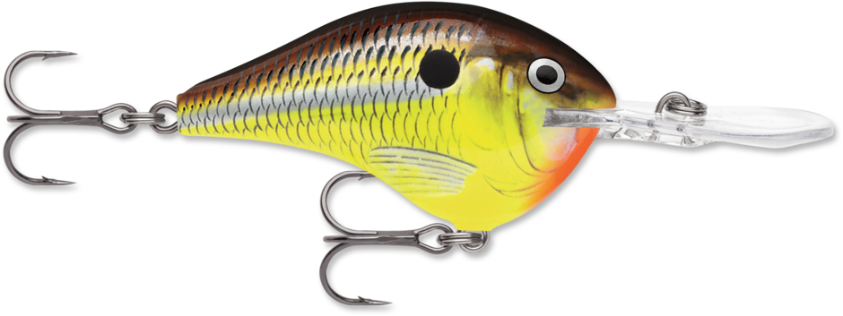 Rapala DT® (Dives-To) Series