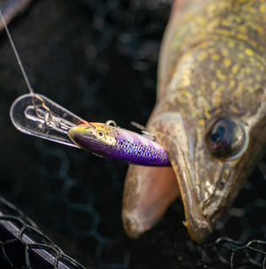 Rapala Shad Rap® thumbnail 3