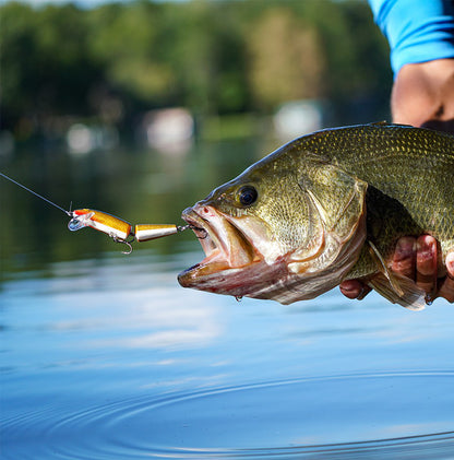 Rapala Jointed®