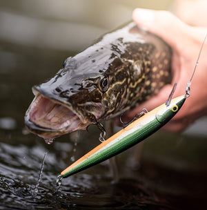 Rapala Husky Jerk® thumbnail 2