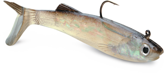 WildEye® Live Anchovy