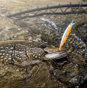 Rapala Shadow Rap® thumbnail 4