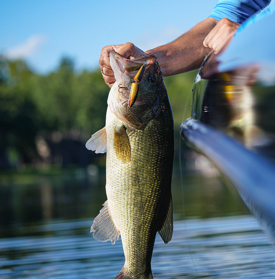 Rapala Jointed®