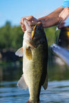 Rapala Jointed®