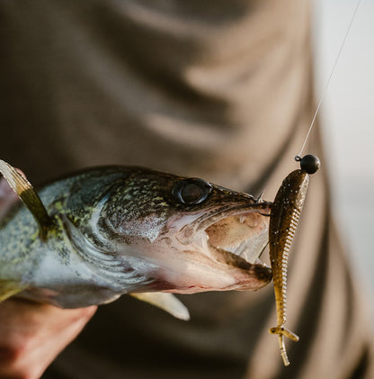 Rapala The Mooch Minnow™ (CrushCity™)