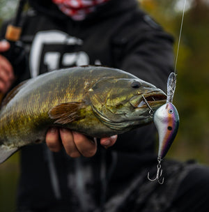 Rapala DT® (Dives-To) Series thumbnail 4