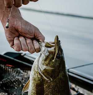 Rapala The Mooch Minnow™ (CrushCity™) thumbnail 2