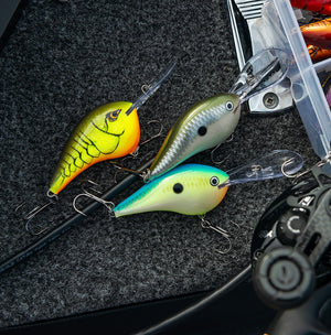 Rapala DT® (Dives-To) Series thumbnail 3