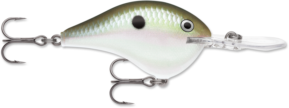 Rapala DT® (Dives-To) Series